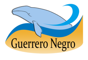 Guerrero Negro Rent – a – Car